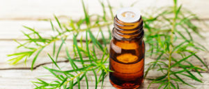 Huiles essentielles rhume