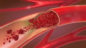 Circulation Sanguine