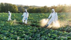 Contamination Aux Pesticides