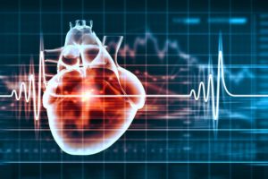 Santé Cardiovasculaire